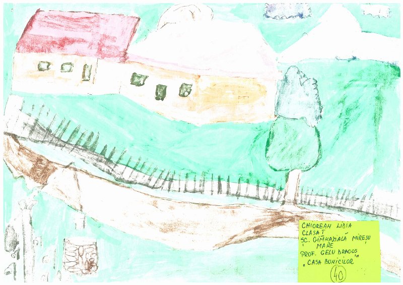 40_Lidia CHIOREAN_Miresu Mare.jpg